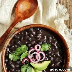 30+ Vegetarian Dinner Ideas That Make You Forget Meat Forever 18 A bowl of black beans topped with red onion, cilantro, and avocado.