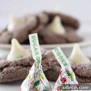 Chewy Chocolate Kiss Cookies Recipe: Classic Chocolate-Studded Cookies 11 img 9011 14