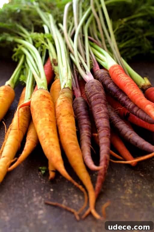 Photo of multicolored carrots with tops still on.
