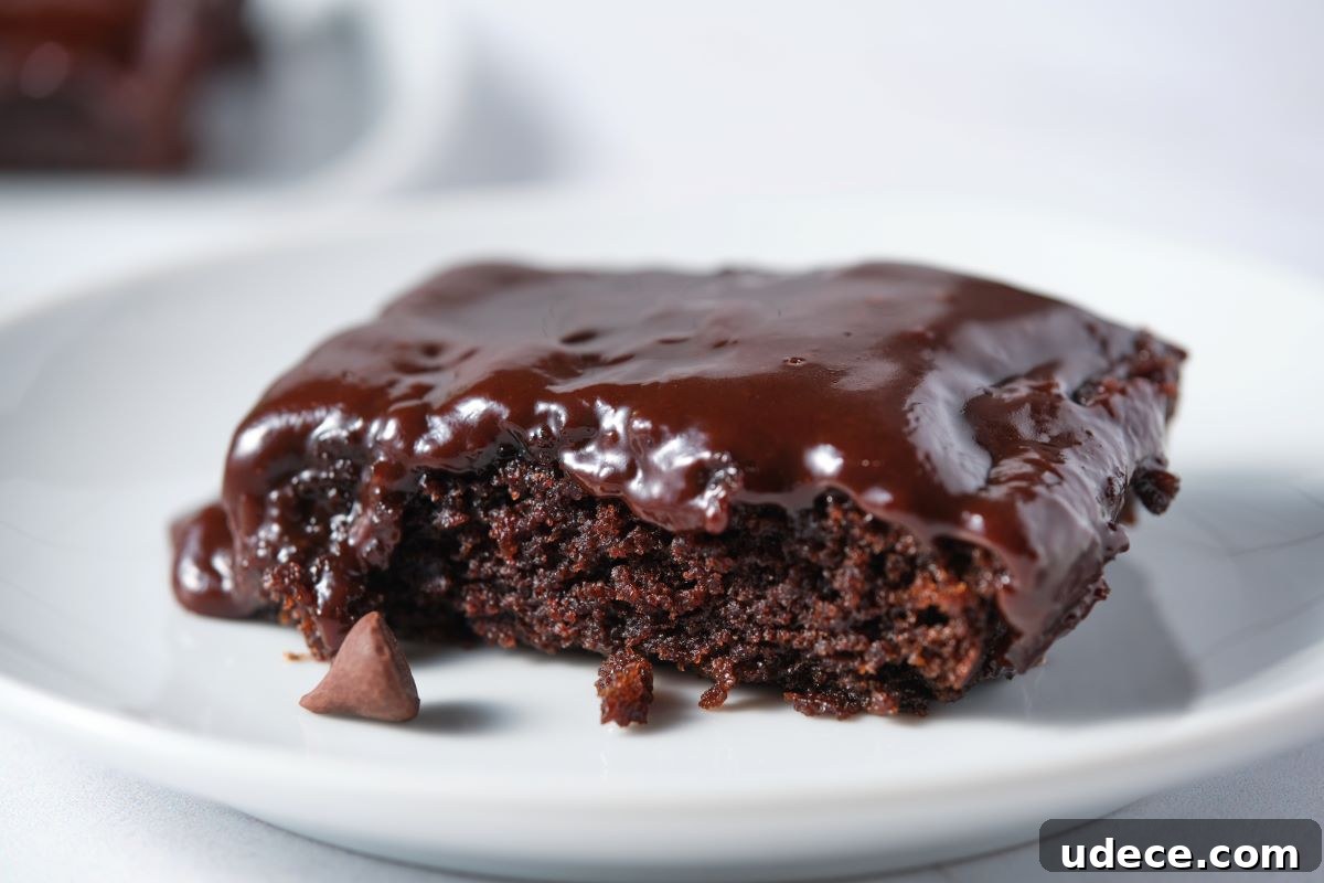 Moist Chocolate Fudge Cake Recipe You’ll Love 3 A close up of moist chocolate fudge cake with fudge icing.