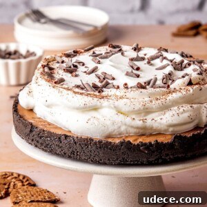 Dairy-Free Chocolate Cream Pie - Olivia Adriance