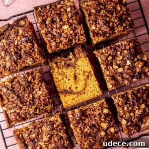 Gluten-Free Cinnamon Swirl Coffee Cake - Olivia Adriance