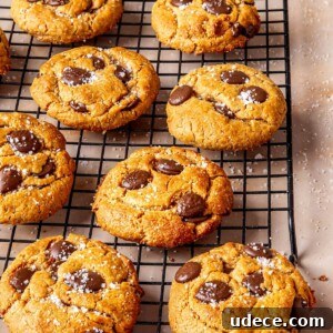 Egg-Free Chocolate Chip Cookies - Olivia Adriance
