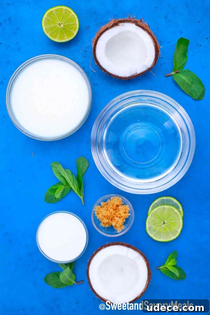 Coconut Mojito Recipe: Refreshing Tropical Cocktail Guide 3 ingredients in bowls on a table