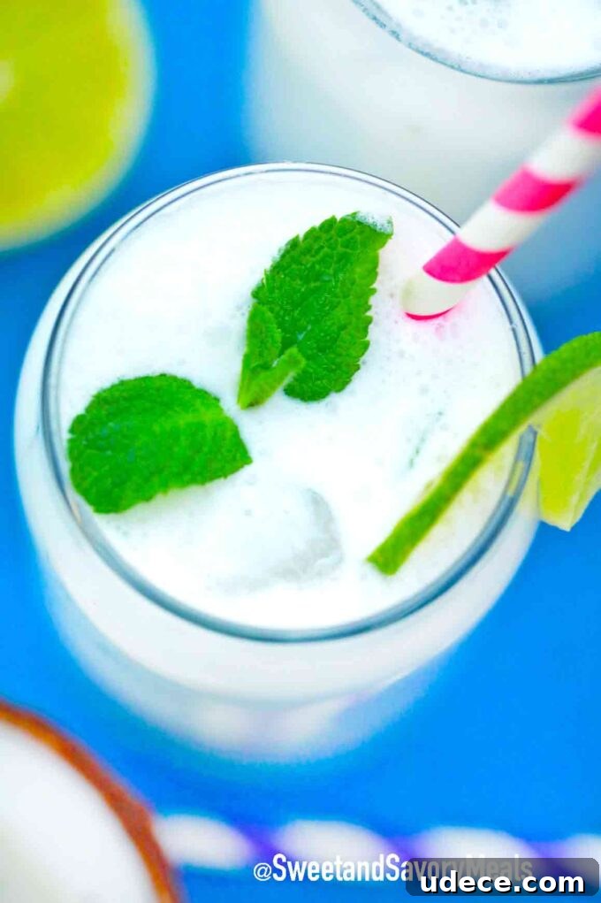 Coconut Mojito Recipe: Refreshing Tropical Cocktail Guide 6 overhead shot of coconut mojito
