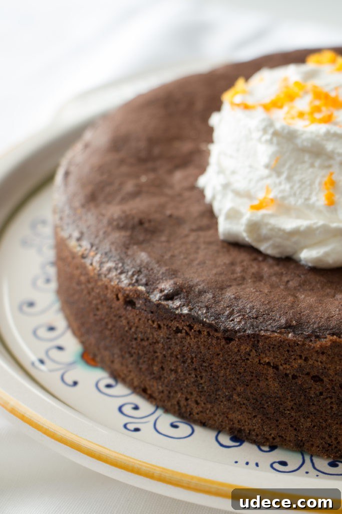 Chocolate Hazelnut Cake Recipe