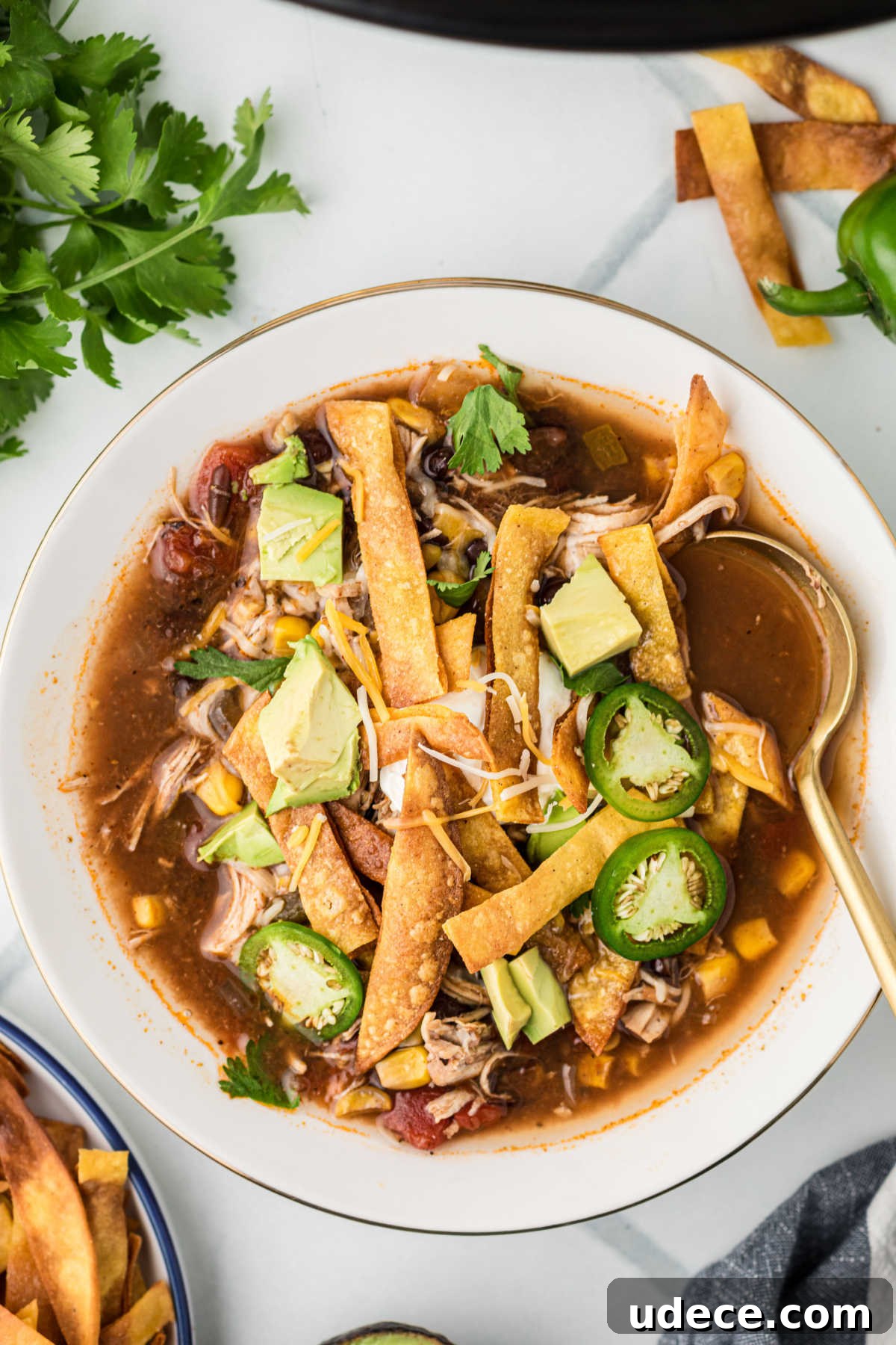 An overhead view of a bowl of chicken tortilla soup made in the slow cooker.