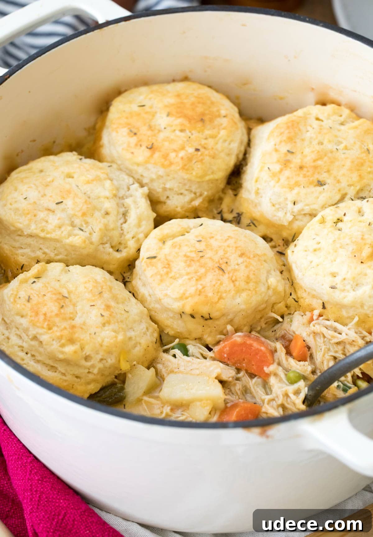 chicken pot pie with biscuits sitting in large dutch oven