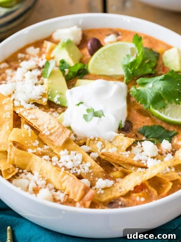 Overhead view of a bowl of chicken tortilla soup topped with tortilla strips, sour cream, lime, and cilantro.