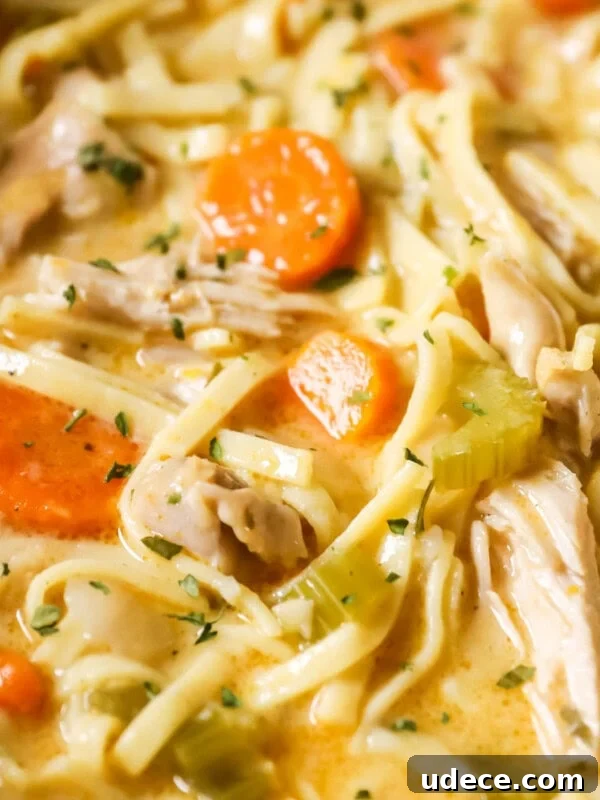 Close-up shot of a pot of creamy chicken noodle soup.