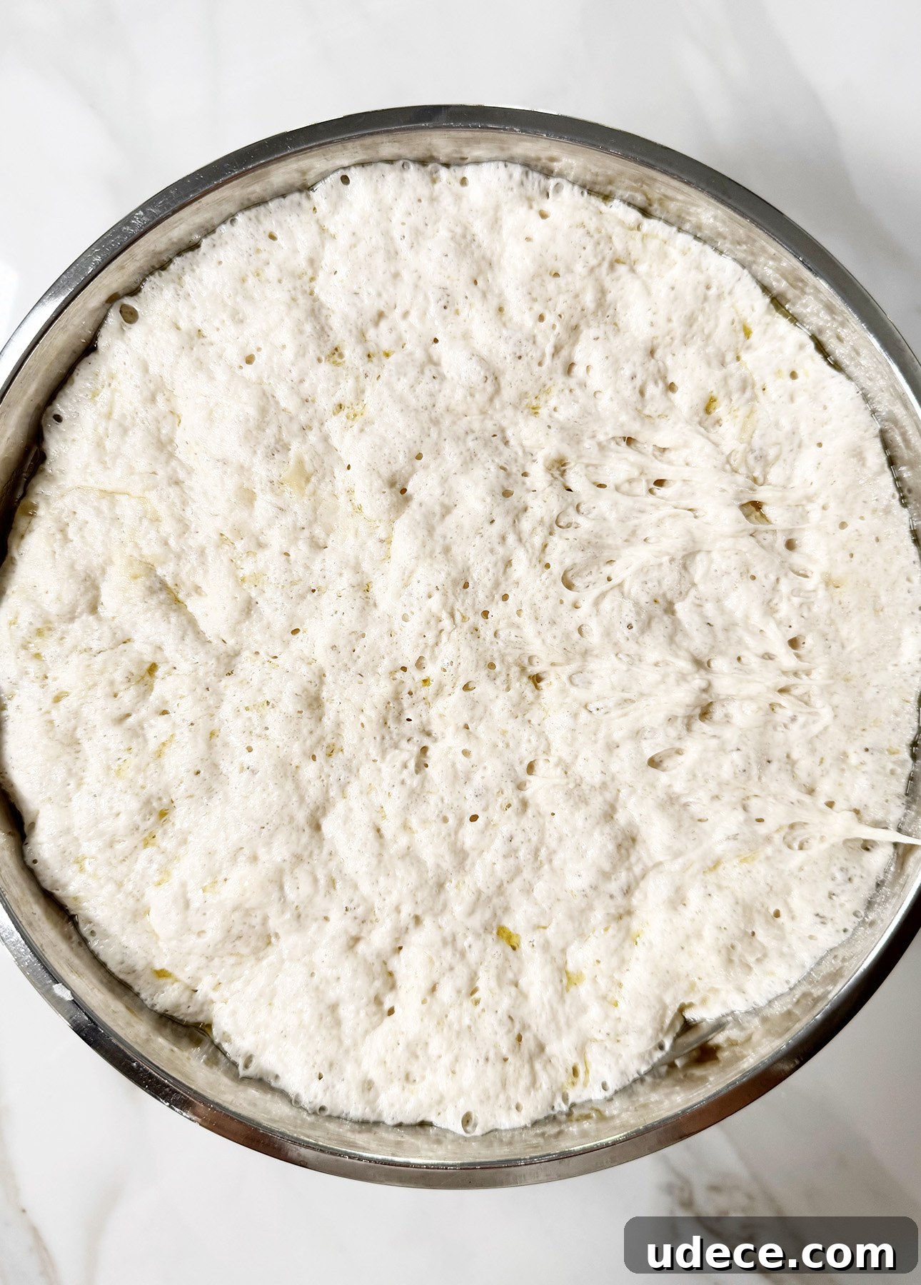 Perfectly risen focaccia dough