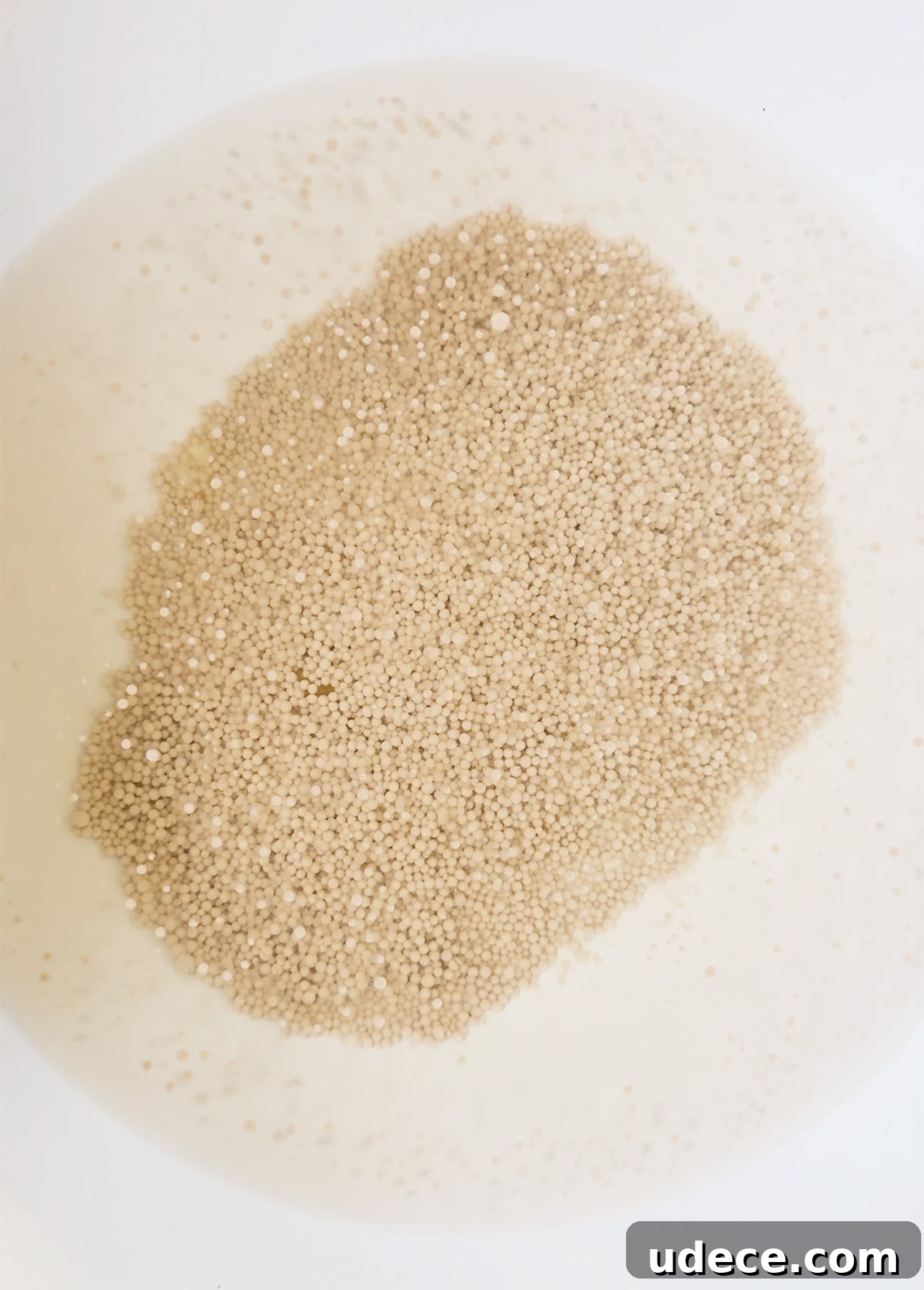 Active dry yeast blooming