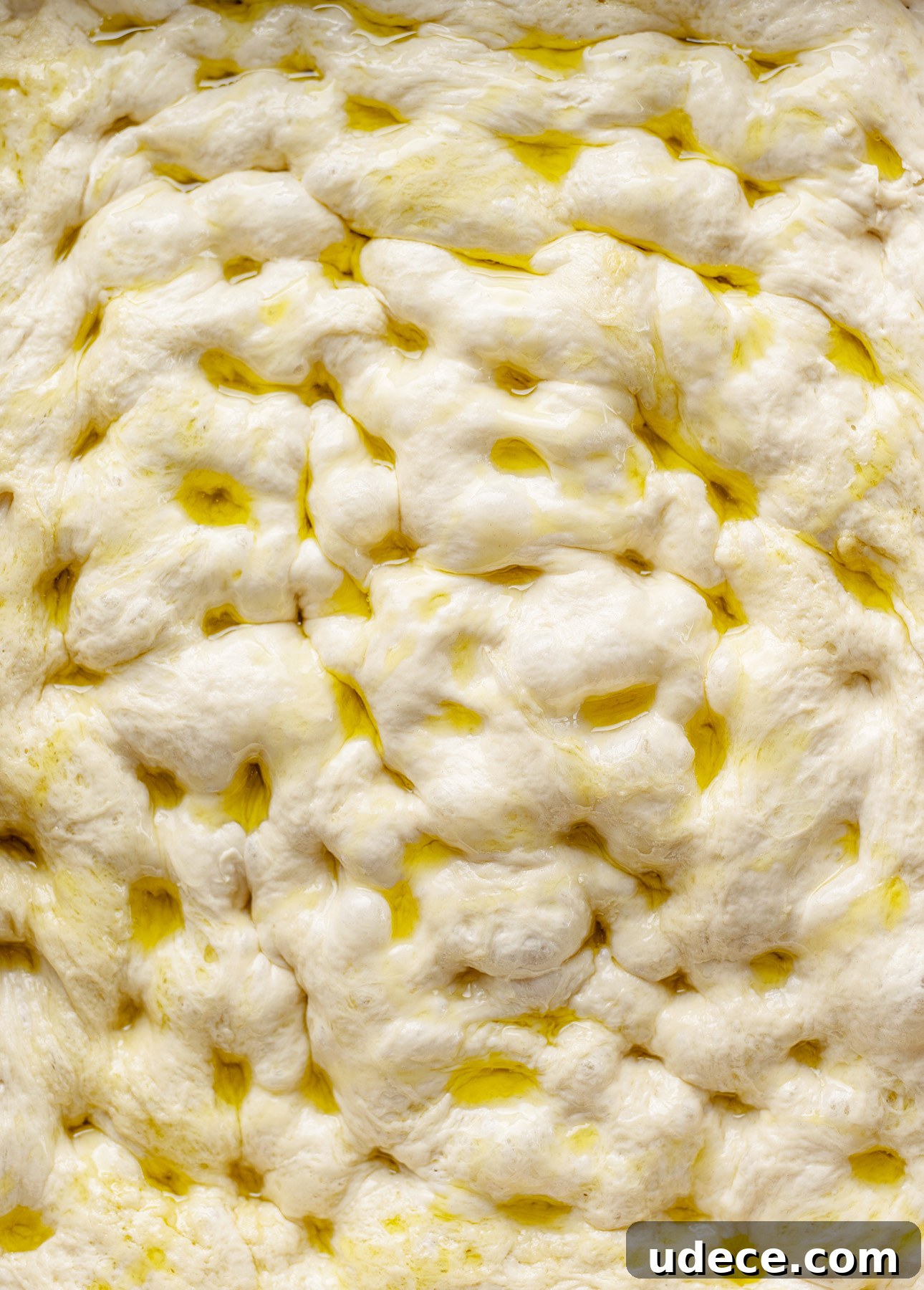 Dimpled dough, the trademark of focaccia
