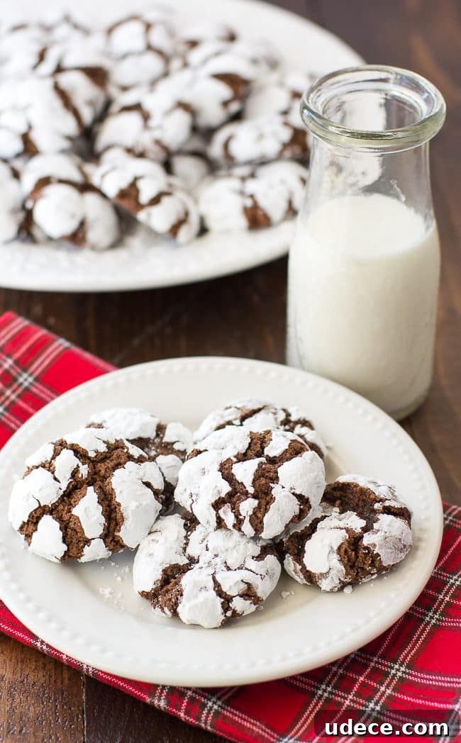 Chocolate Crinkle Christmas Cookies Recipe