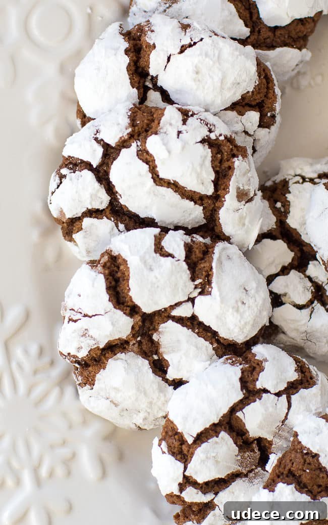 close up of christmas cookies with powdered sugar