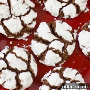 chocolate crinkle cookies recipe