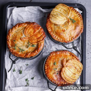 a shot of turkey pot pie