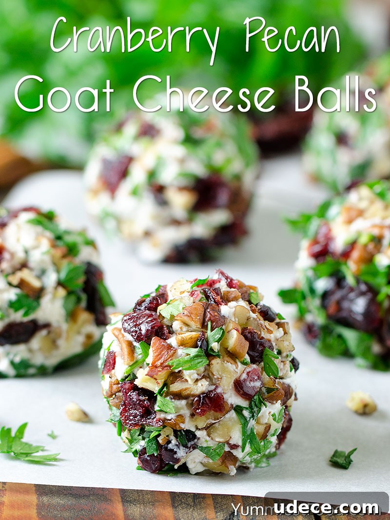 Cranberry Pecan Goat Cheese Balls Recipe
